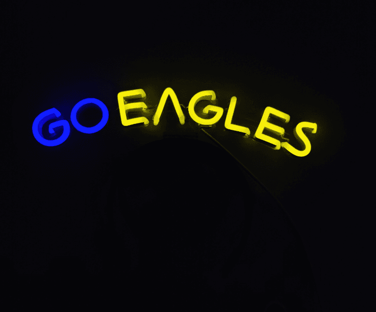 "Go Eagles" LED neon headband